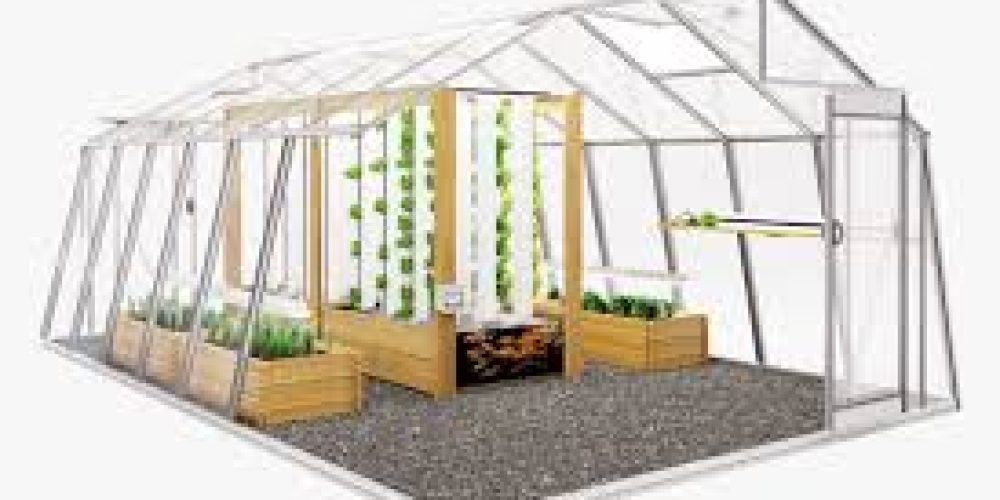 Growing Beyond Seasons: Greenhouses in Action