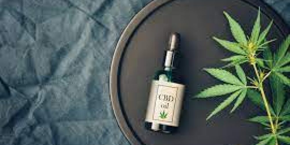 Discovering The Advantages Of CBD For Pets Formula swiss