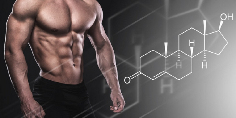 The Effects of Testosterone replacement therapy on Immune Function