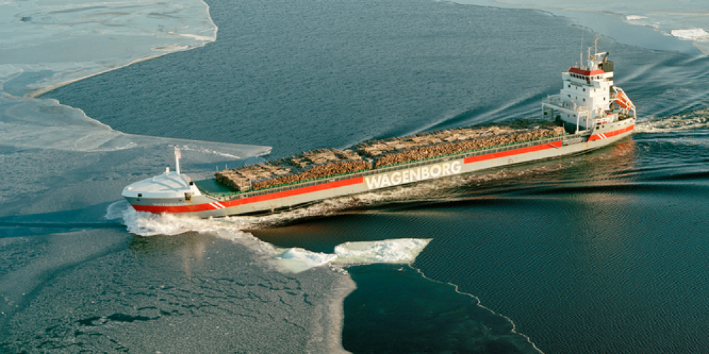 Bearing the Load: Challenges and Opportunities in Forest Shipping