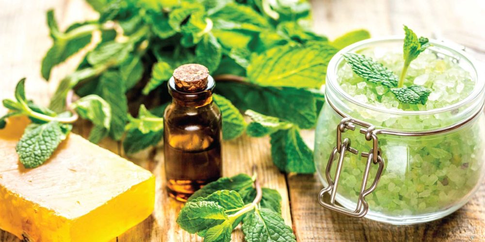 All About CBD: A Complete Beginner’s Guide