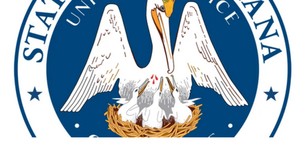 Deciphering Louisiana’s Squatting Laws: Your Legal Roadmap
