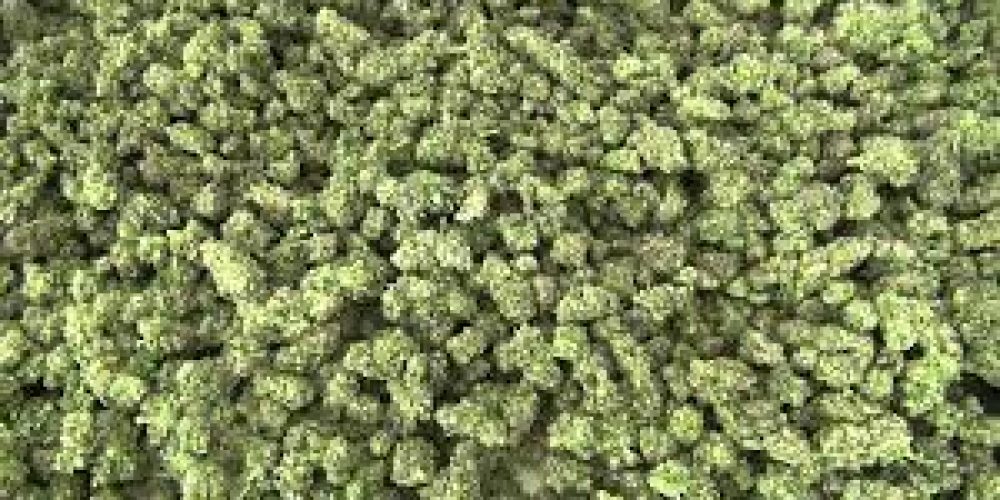 Key in an original platform which offers the finest legal Marijuana (Cannabis Legale)