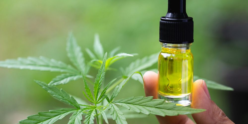 The Ultimate Guide to CBD France